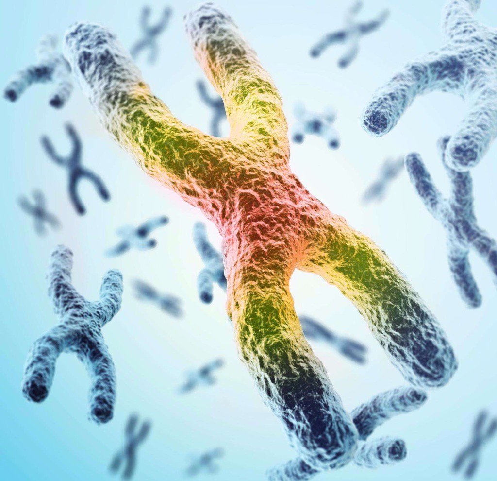 Media Tweets by Loudoun Road Runners (RunLoudoun) Twitter