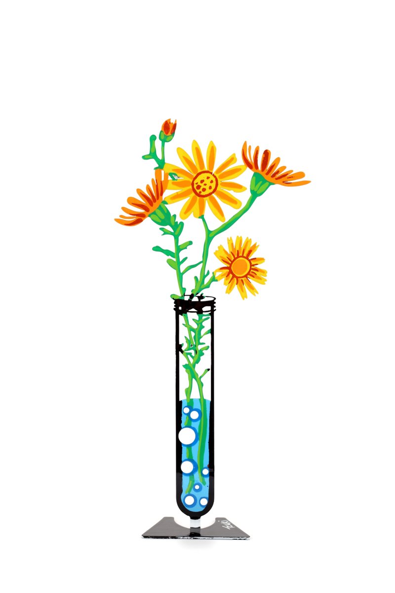 Interested bringing some life &amp; light to your office desk?
buff.ly/2kHFgvU * for 10% off +free shipping use 'MAKEMESMILE' Coupon