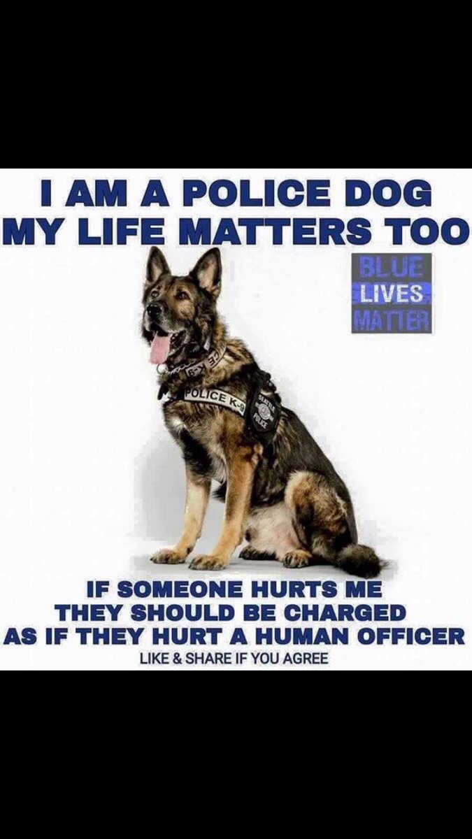 K9Finn's tweet photo. Nothing needs adding to this..... https://t.co/EWmGb0yS5v