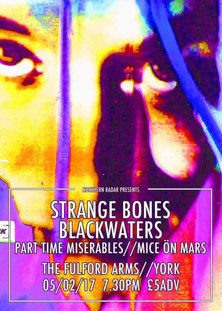 MiceÖnMars tweet media