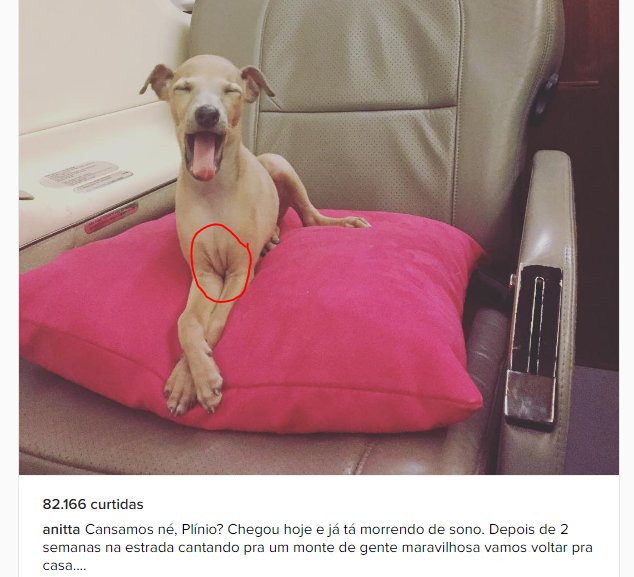 Matheus_Rodriz's tweet image. E esse ester egg 😏😂