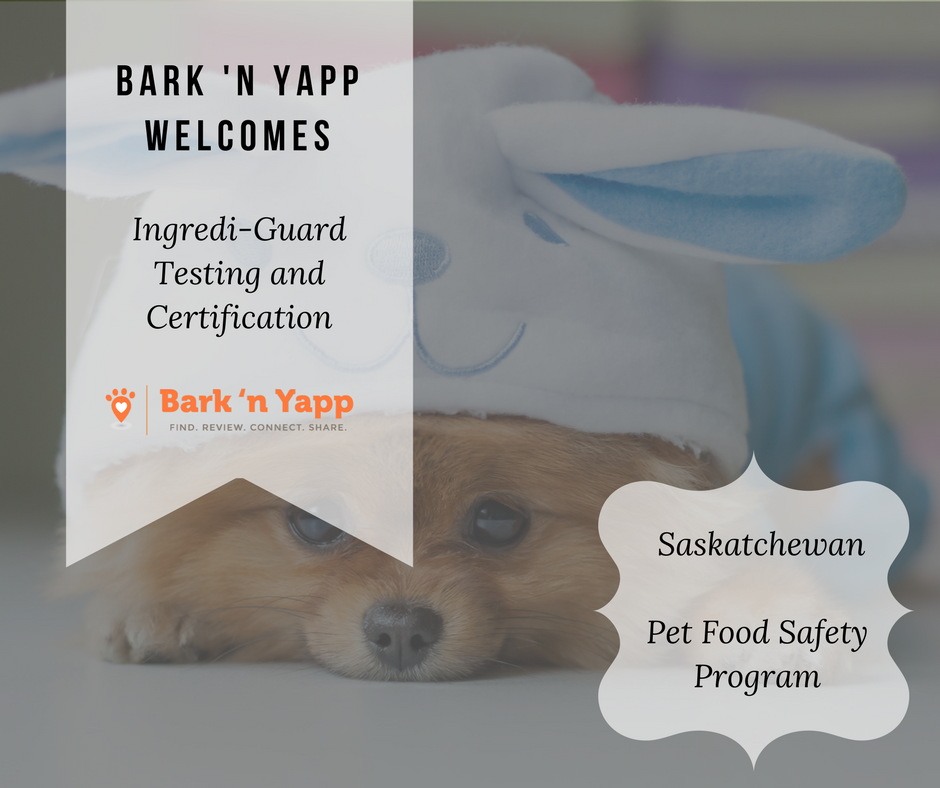 BarknYapp's tweet photo. @IngrediGuard helps make sure that your pet food products are safe for consumption for your consumers! https://t.co/dlc0V5Ln2s https://t.co/BYtjBdYut8