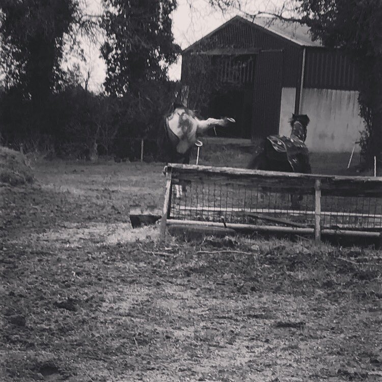 katieequine's tweet photo. Hand stand 😂 https://t.co/Z3V9swrUrO