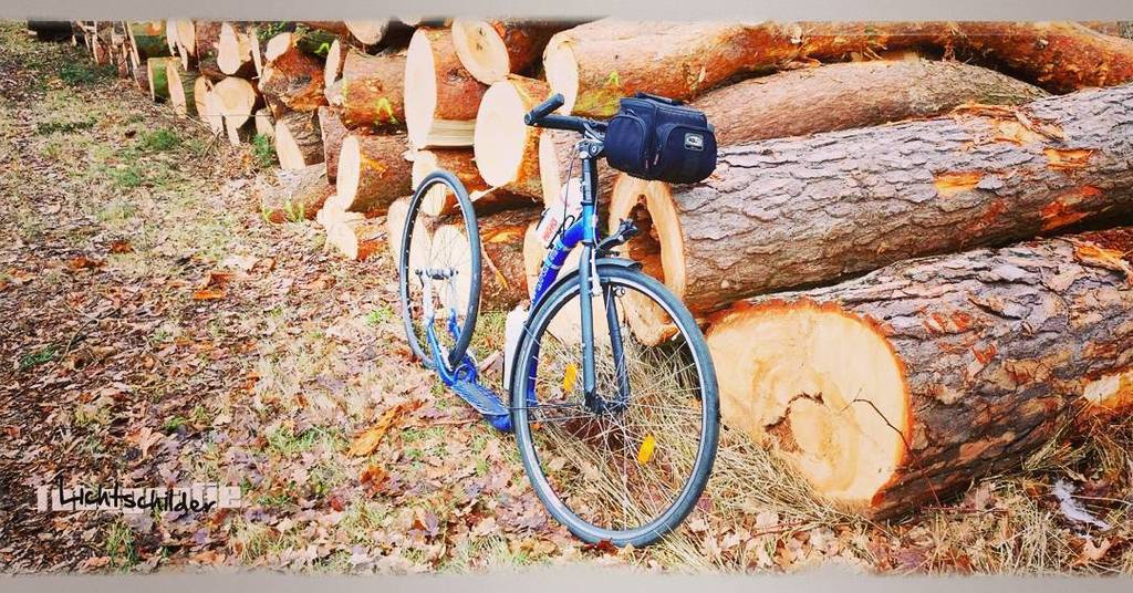 Lichtschilder's tweet photo. Zo nice tot roll again #autoped #step #sport #fun #kickstandswitchrepeat #letskick #kickbi… https://t.co/V6admSr6v8 https://t.co/gGyzEqwX9m