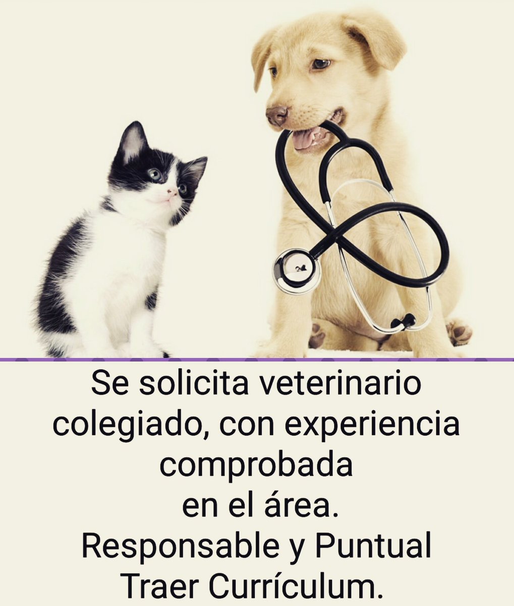 mimaskotik's tweet photo. Se solicita Veterinario.   Indispensable experiencia y Puntualidad. Llevar currículum a nuestra tienda en @elrecreocc 🐕🐱🐩🐾 https://t.co/ZzRu8tTwgr