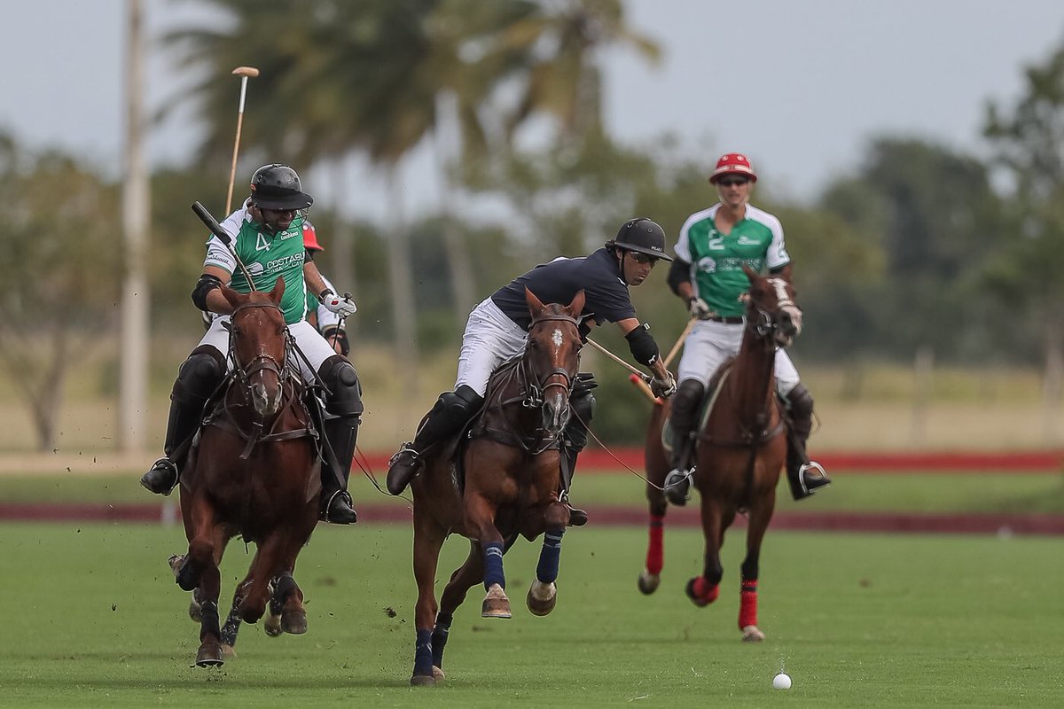 Polo Challenge RD tweet media