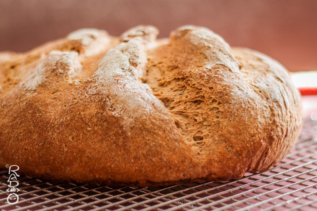 RealJsNinja's tweet photo. Fresh-Baked Homemade Artisanal Bread https://t.co/XNYaGSbHe2 https://t.co/7mNbaw8nCE
