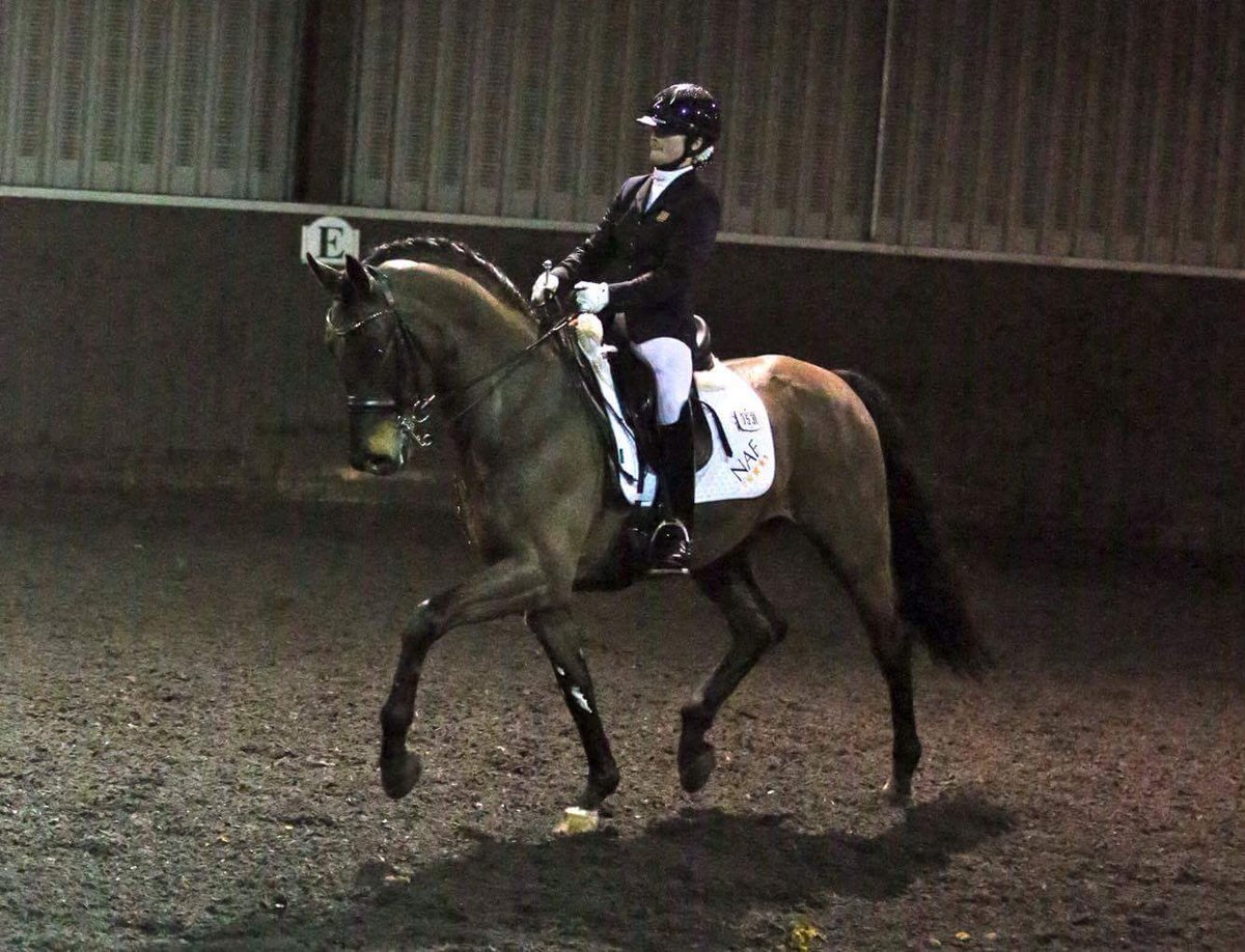 PetersDressage's tweet photo. First competition with Dan - 71% in AM and 73% in advanced, cannot thank @LaraDyson enough! And also @HughesDressage for all of his help! https://t.co/6GBmHiNZ4n