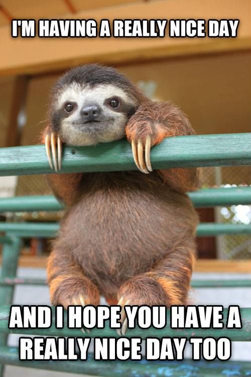 WholesomeMeme's tweet photo. https://t.co/u0EBDjuRtS