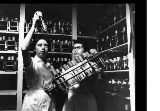 Uploaded through publisher.