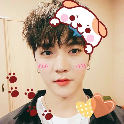 mochipledis's tweet photo. #렌 🐶 https://t.co/IZHAeusYO1
