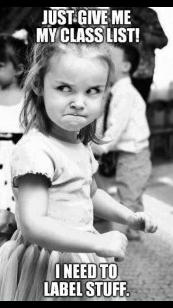 Image result for angry little girl meme