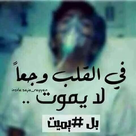 Ali Hussen (@alih24677480) on Twitter photo 