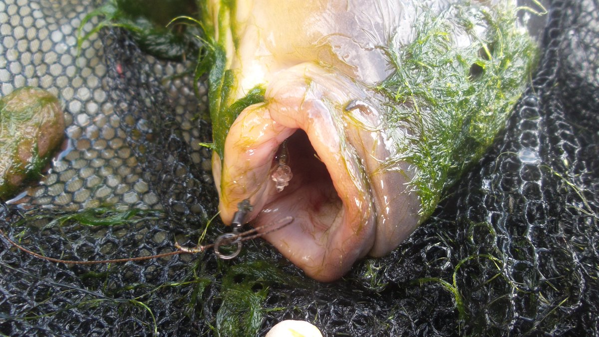 Memorable capture👌...this one was!!..was unprepared..one session, one cast, single pop up, patience...reward👍