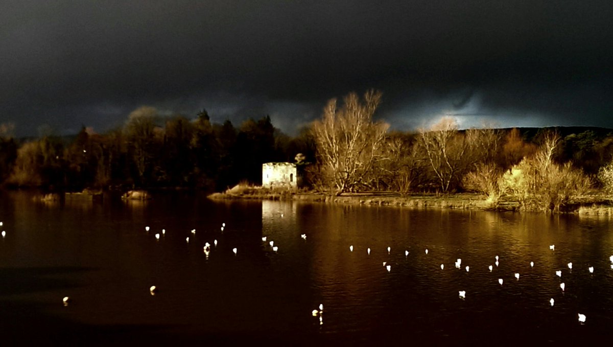 SeaghdhaO's tweet photo. Really sets the stage and the mood for the day that was in it #RiverShannon #MillRoad #Limerick "The Twilight zone" https://t.co/GENfSpSpp3