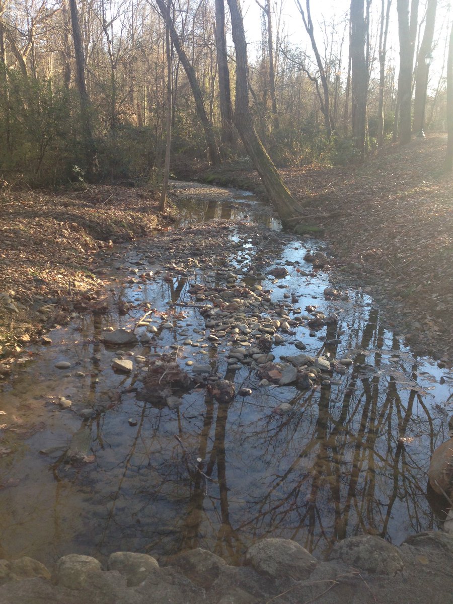 Summit6thSS's tweet photo. Saw this amazingly clean stream on @CurateReynolda walk. Thank u @summitschoolws Upper School students for your service. #inspiringlearning https://t.co/SE6aTX02JE