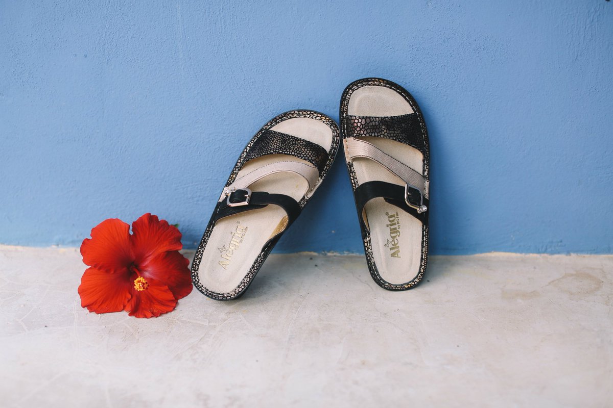 Alegria Shoe Shop Twitter