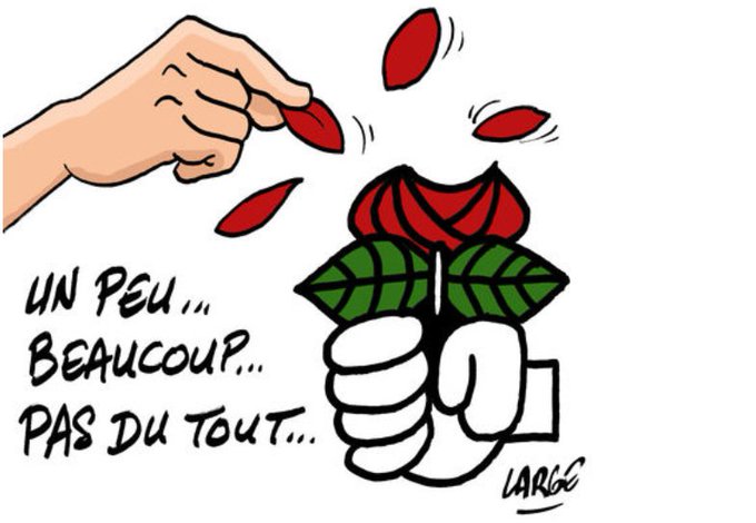 Voir l'image sur Twitter