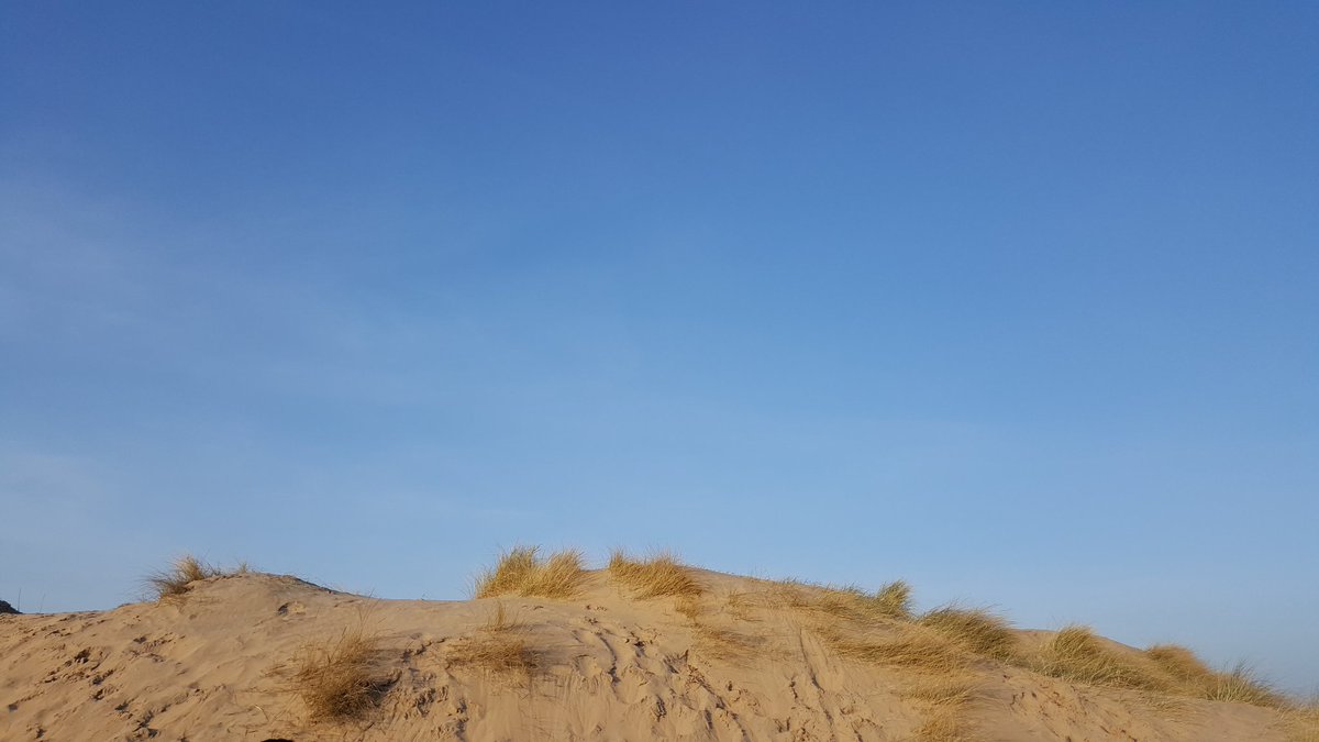 Anmano's tweet photo. Tylösand at its best. #photography #Sweden #beach https://t.co/gnVpBF7OqC