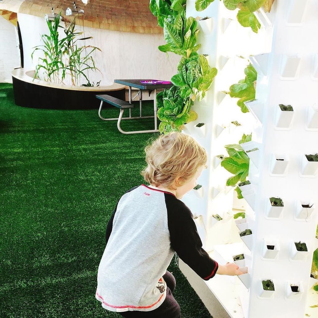 BeaconStBaby's tweet photo. Garden envy @mill180park #kidsinthegarden #indoorgarden #newenglandkids https://t.co/dzsekilGUJ