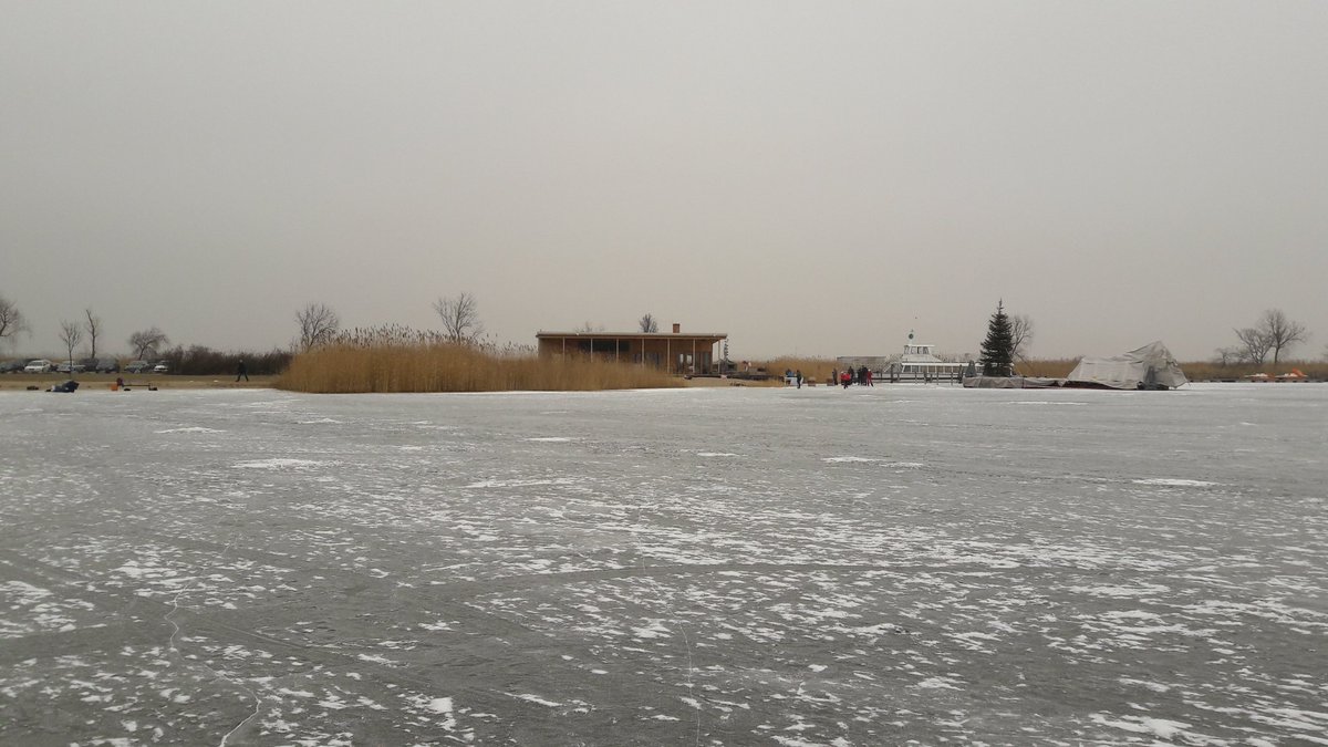 ❄⛸❄ #icescating in Jois #myneusiedlersee