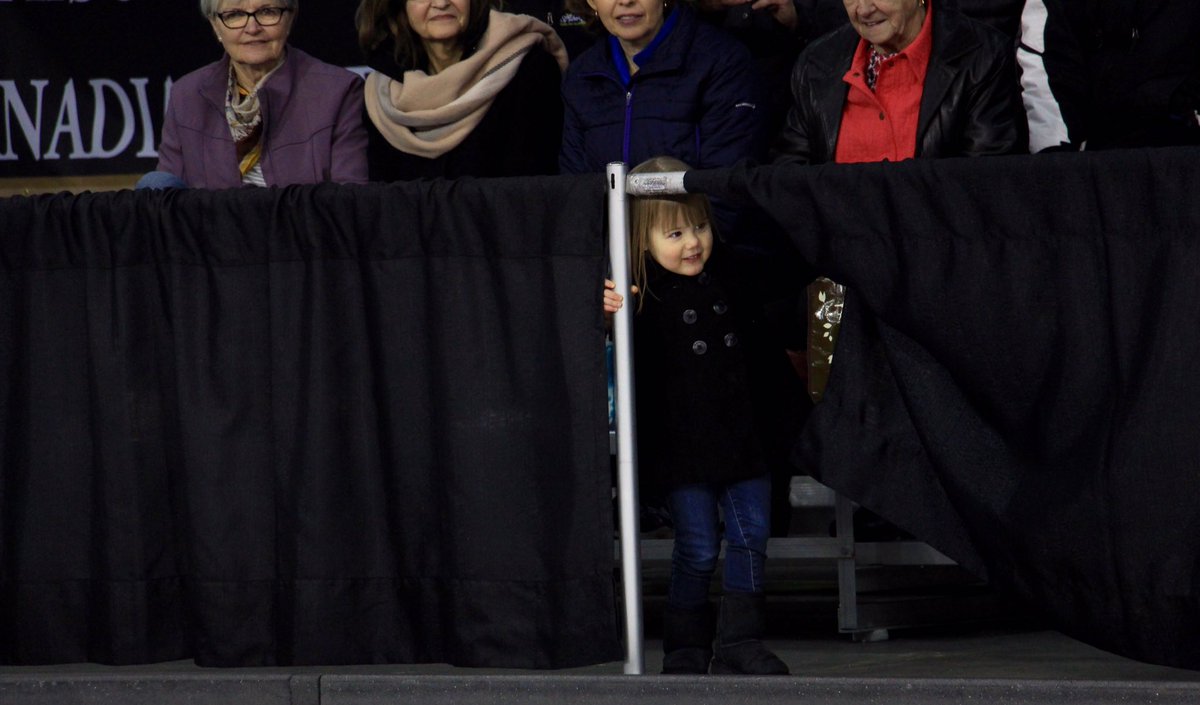StAlbertCurling's tweet photo. We've got a little fan watching here today! #JiffyLubeABscotties @jackieraecfcw https://t.co/uM1AIgJFJo