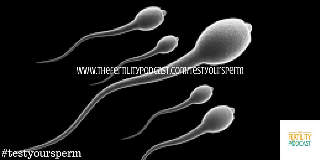 fertilitypoddy's tweet photo. Want to do more? #TTC? #testyoursperm. Guys find out what you can do https://t.co/Vw0AbRFIGJ https://t.co/mQ5npaGvhc