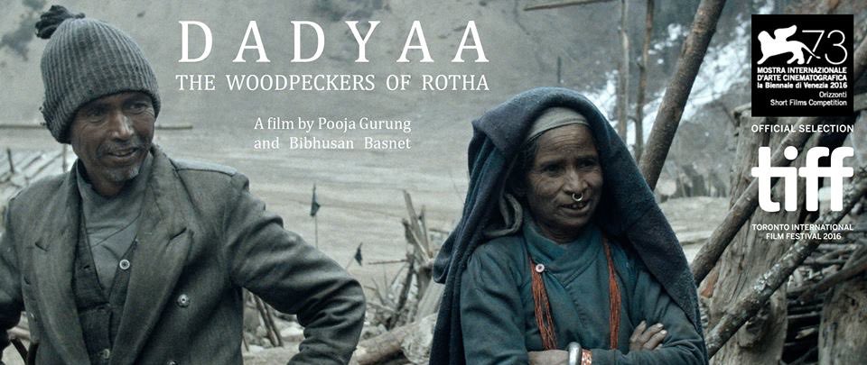 la_Biennale's tweet photo. #Dadyaa corto nepalese presentato #BiennaleCinema2016 #Venezia73 #Orizzonti ha vinto lo Special Jury Award for Cinematography #Sundance2017 https://t.co/OfjsigSJQh