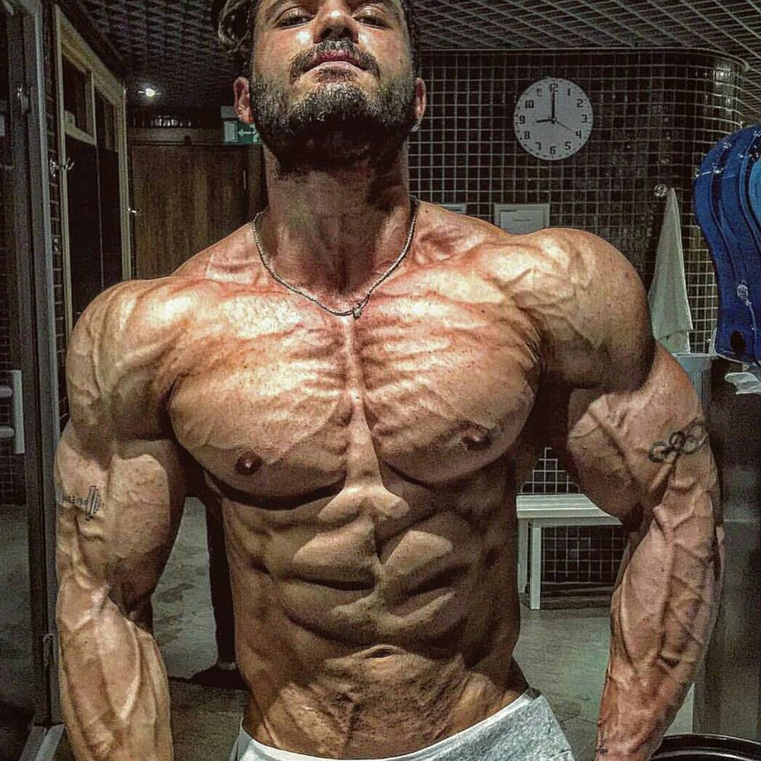TestoKing's tweet photo. Shredded!
#bodybuilding #fitness#lifting #gym #gymlife #body #fit #muscle #abs #train #champion #success #quote #bodybuilder #lifestyle https://t.co/Bi7caMMgOj