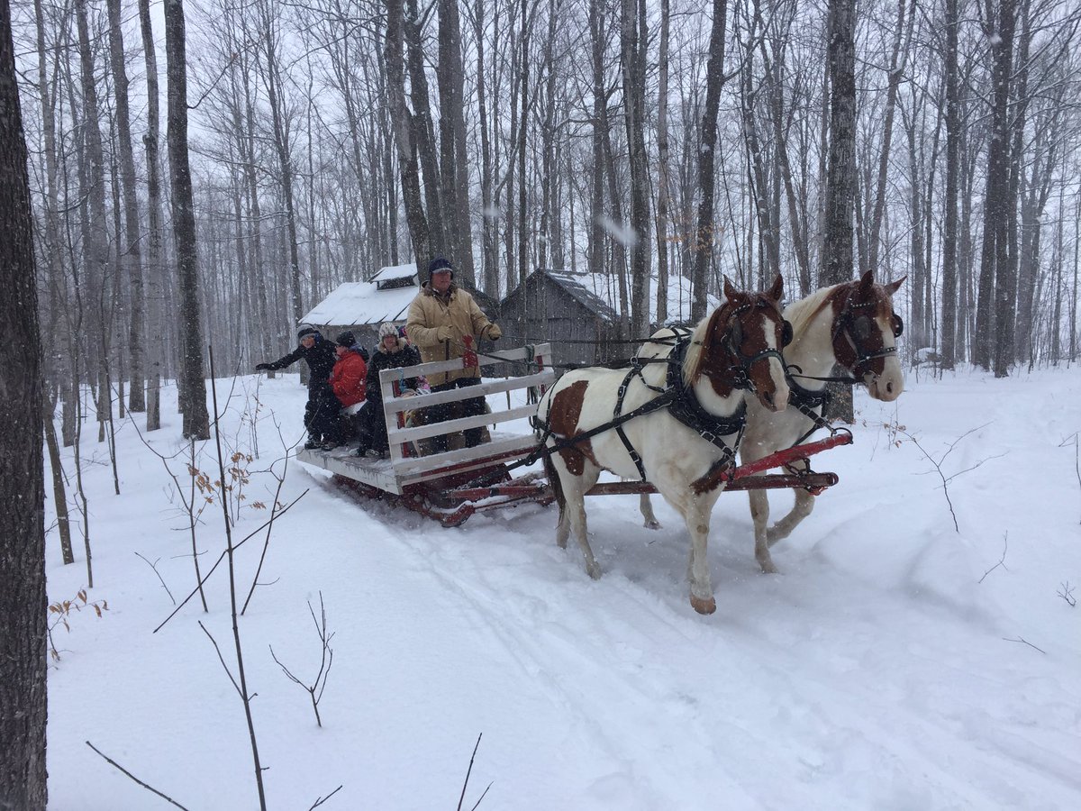 What do farm families do on Sunday afternoons??? We have sleigh rides to the bush! Cook outs, family, laughter and chilli! #lovemylife