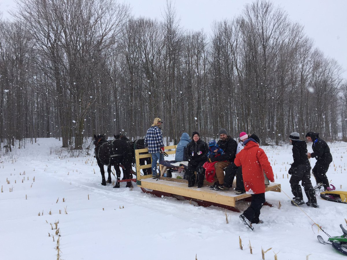 frmgrlnancy's tweet photo. What do farm families do on Sunday afternoons??? We have sleigh rides to the bush! Cook outs, family, laughter and chilli! #lovemylife https://t.co/Jy2JuPr8B7