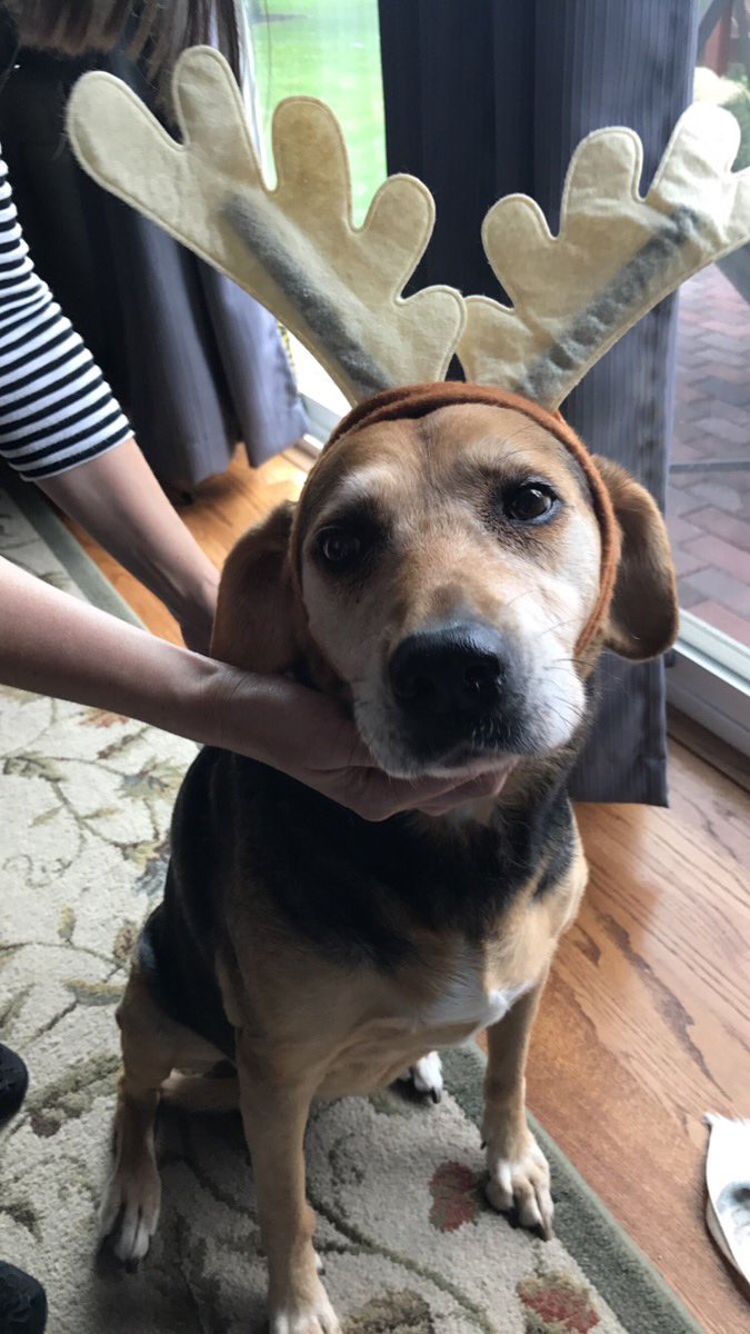 hgray016's tweet photo. thank you for the millions of smiles you managed to give me daily, i love you Abby. rest in peace ❤️ https://t.co/tYI1ec5A30