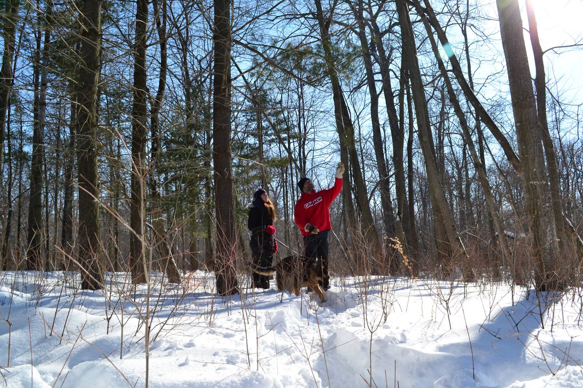 Ontario Parks tweet media
