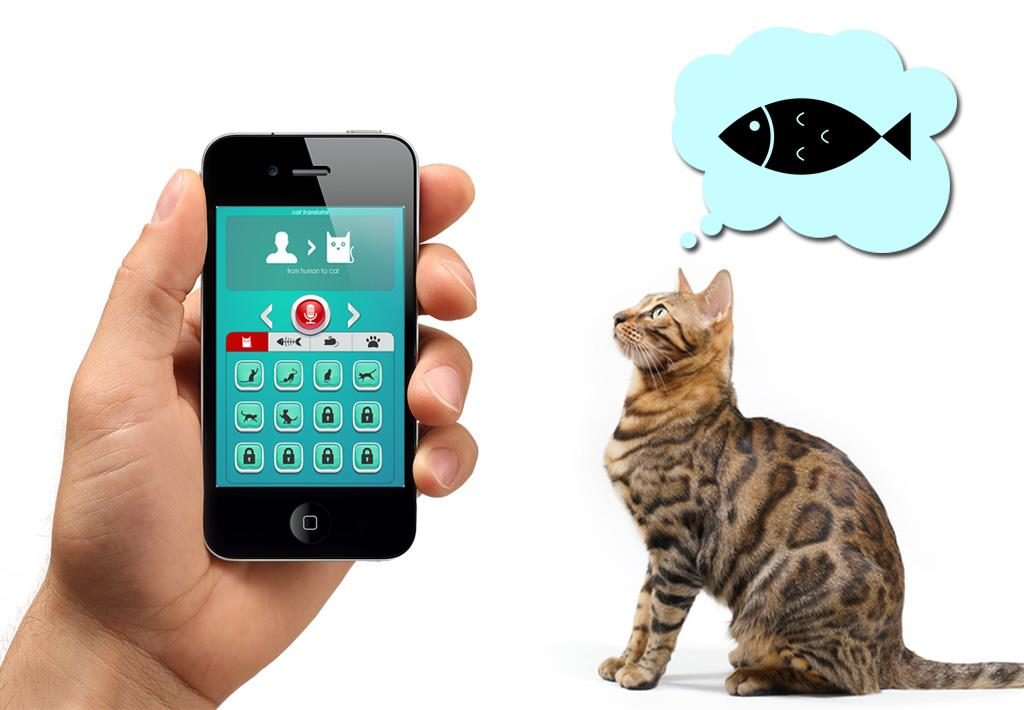 Приложение для кошек. Переводчик для котов. Приложение с кошачьего на человечий. Коты приложения. Приложение которая переводит на кошачий.