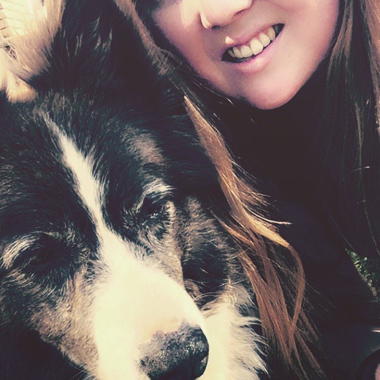littlemacka0's tweet photo. Tess 🐾 #purebredbordercollie #cattledog #blacknwhite #bitch #oldgirl #love https://t.co/zUvKqd1DzC