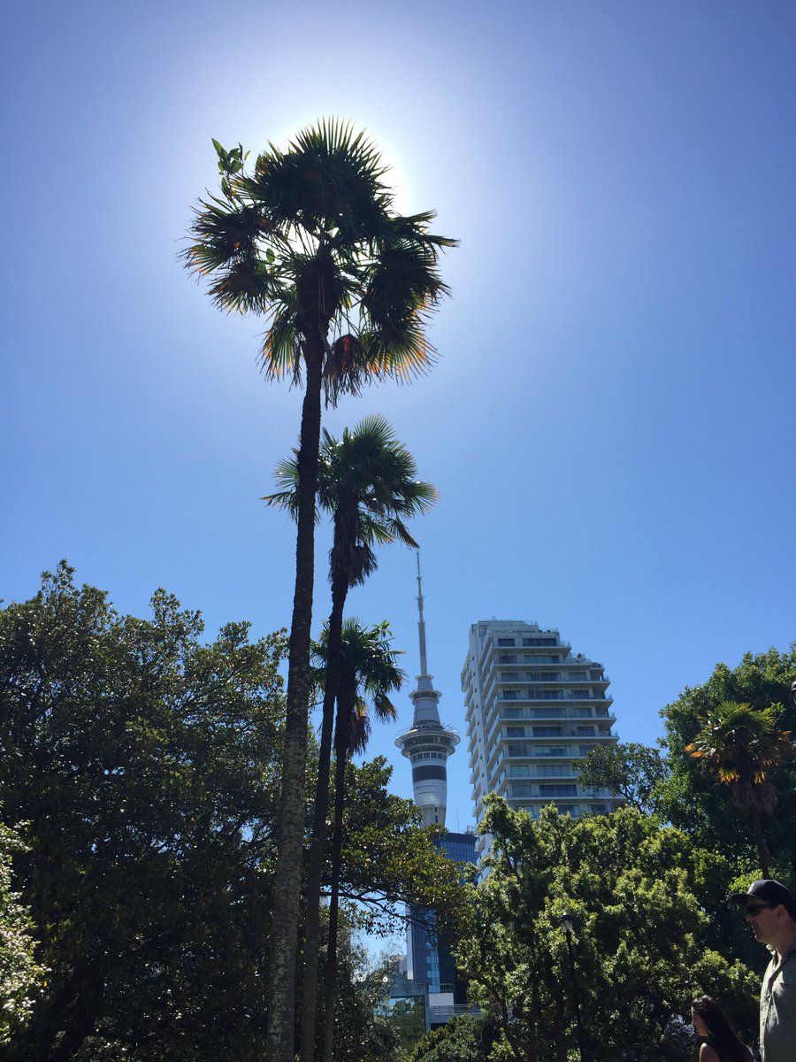 NZBatman's tweet photo. What a beautiful day to be at @lanewayfestNZ #nzsummer #aklsummer #auckland #live #music #skytower #trees #shade #sun https://t.co/4HhM3u1jS3