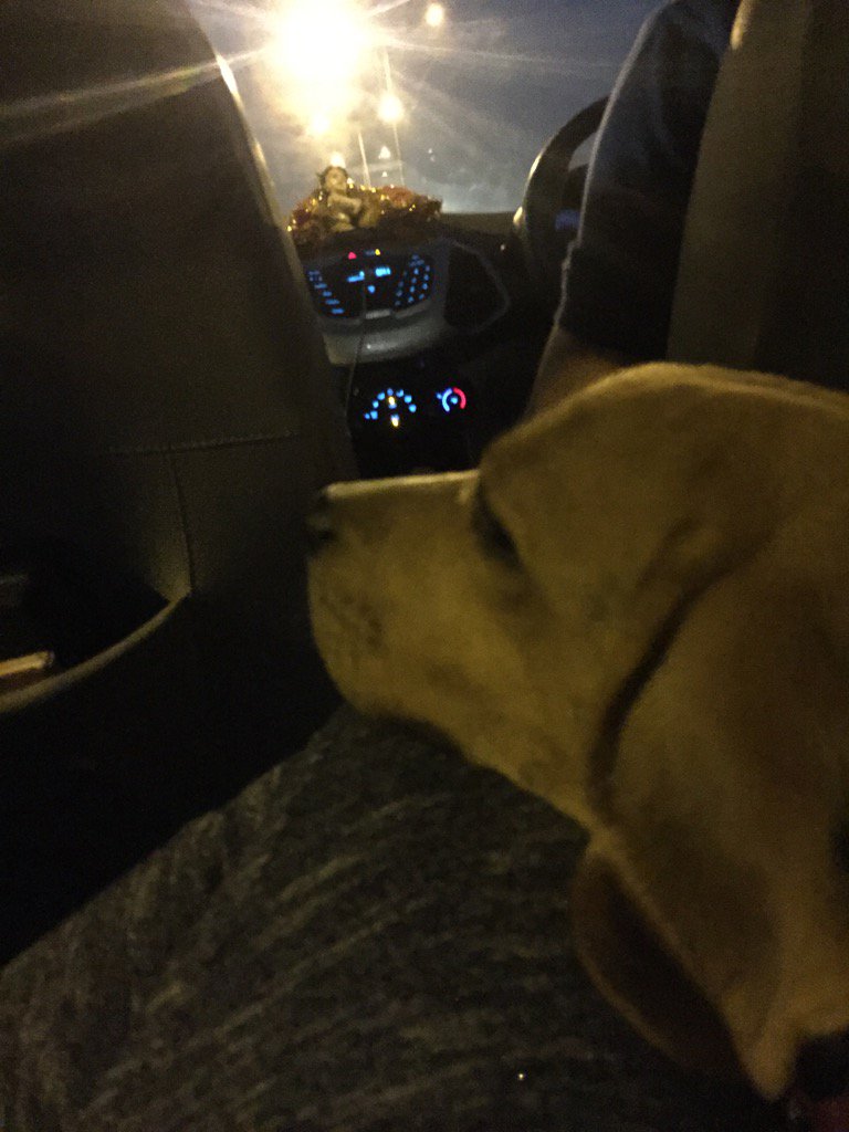 My early morning companion #wafer☺️☺️ GOodmorning 😘😘😊😊