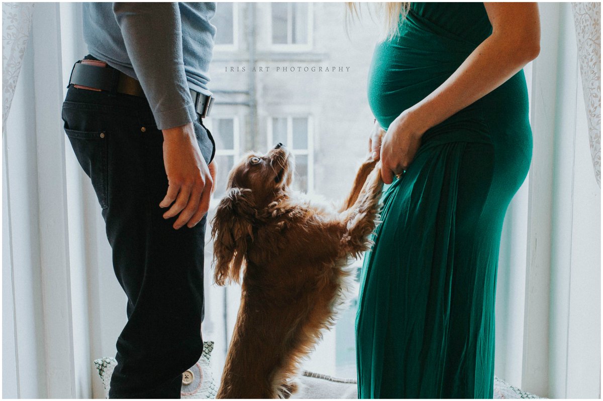 IrisArtPhoto's tweet image. That very excited pup expecting a new 'brother'. More of this amazing family soon on blog! #edinburghfamily #maternitysession #irisartphoto