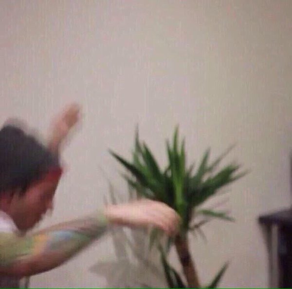 VenezuelaClique's tweet photo. josh: y/n quítate
y/n: josh no!
*disparo*
y/n: josh...
*silencio*

#LATAMWANTSTOP https://t.co/rQnQhAa1tV