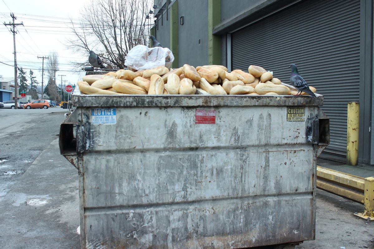 MCarlucci's tweet photo. What a victory for these birds.
#oldbread #birds #dumpster #georgetown https://t.co/20o5nZ9FuM