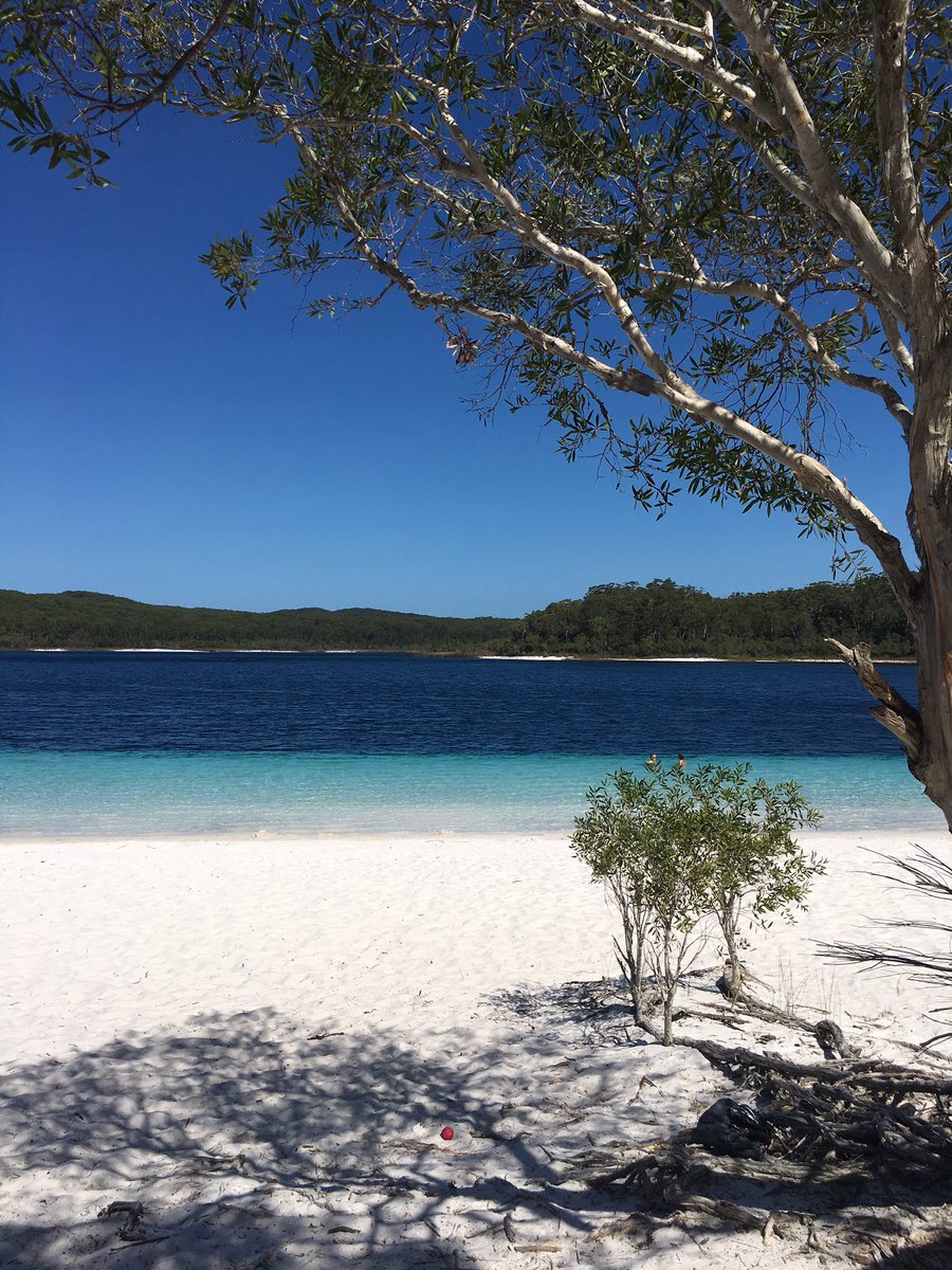 Nicole Borcovsky tweet media