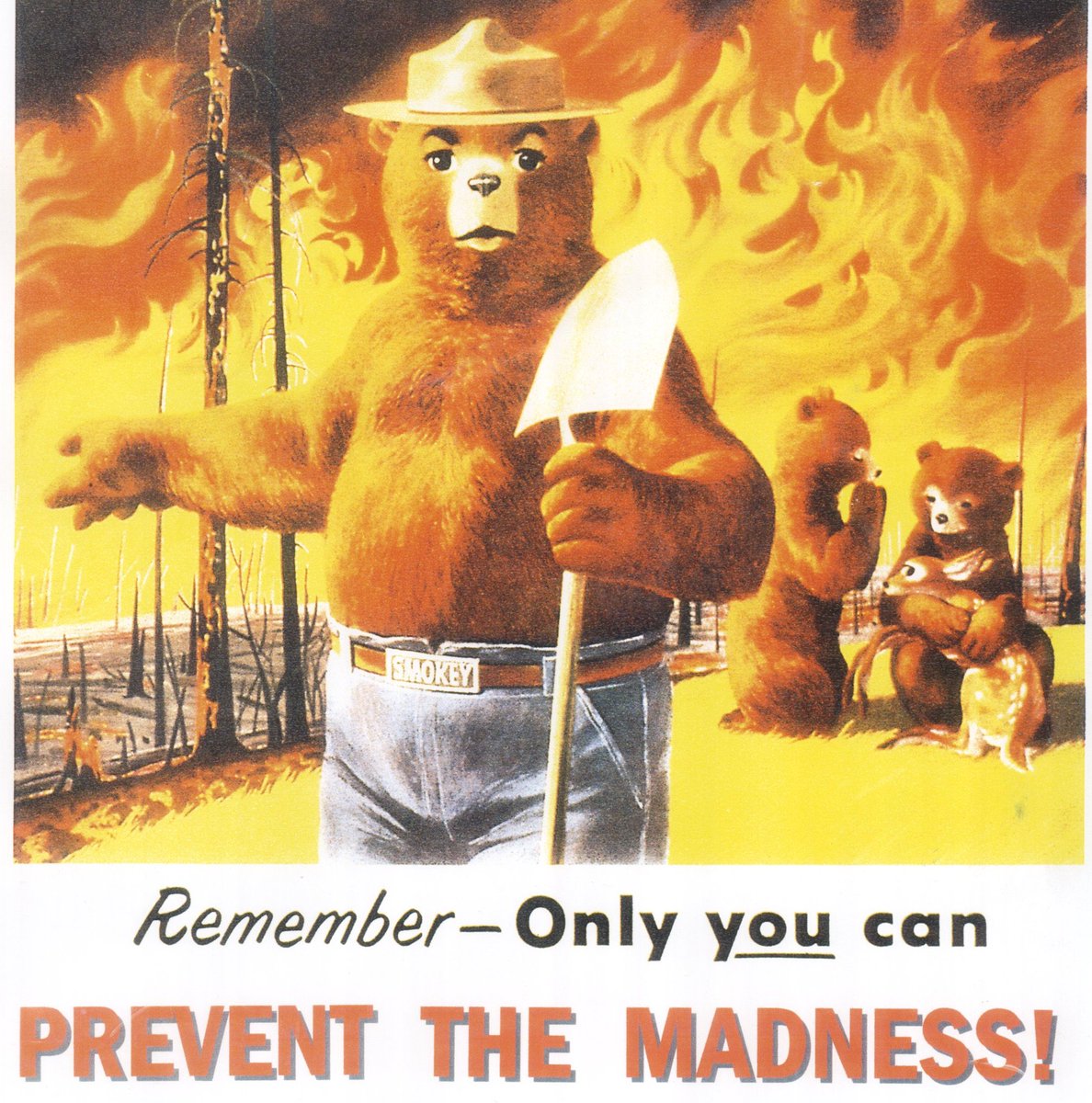 ALTUSNPS's tweet photo. Smokey has some advice...  "Only you can prevent the madness".  And I don't think he is talking about fire. https://t.co/IlZQZQFIbC