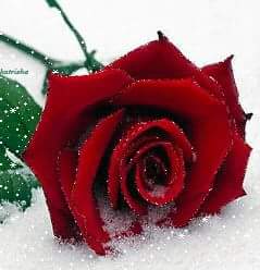   a very happy birthday to you,  Jemima. ..many more healthy and happy ones to come 