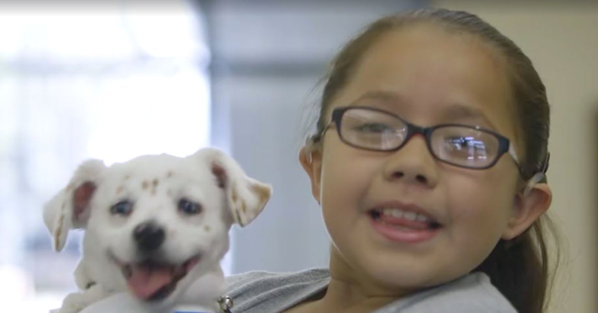 My Pet Credentials tweet media