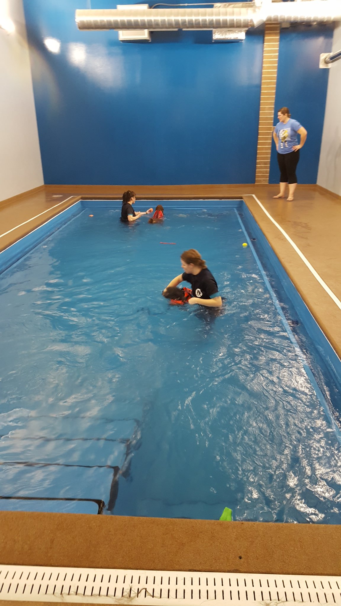 doggy paddle aquatic center