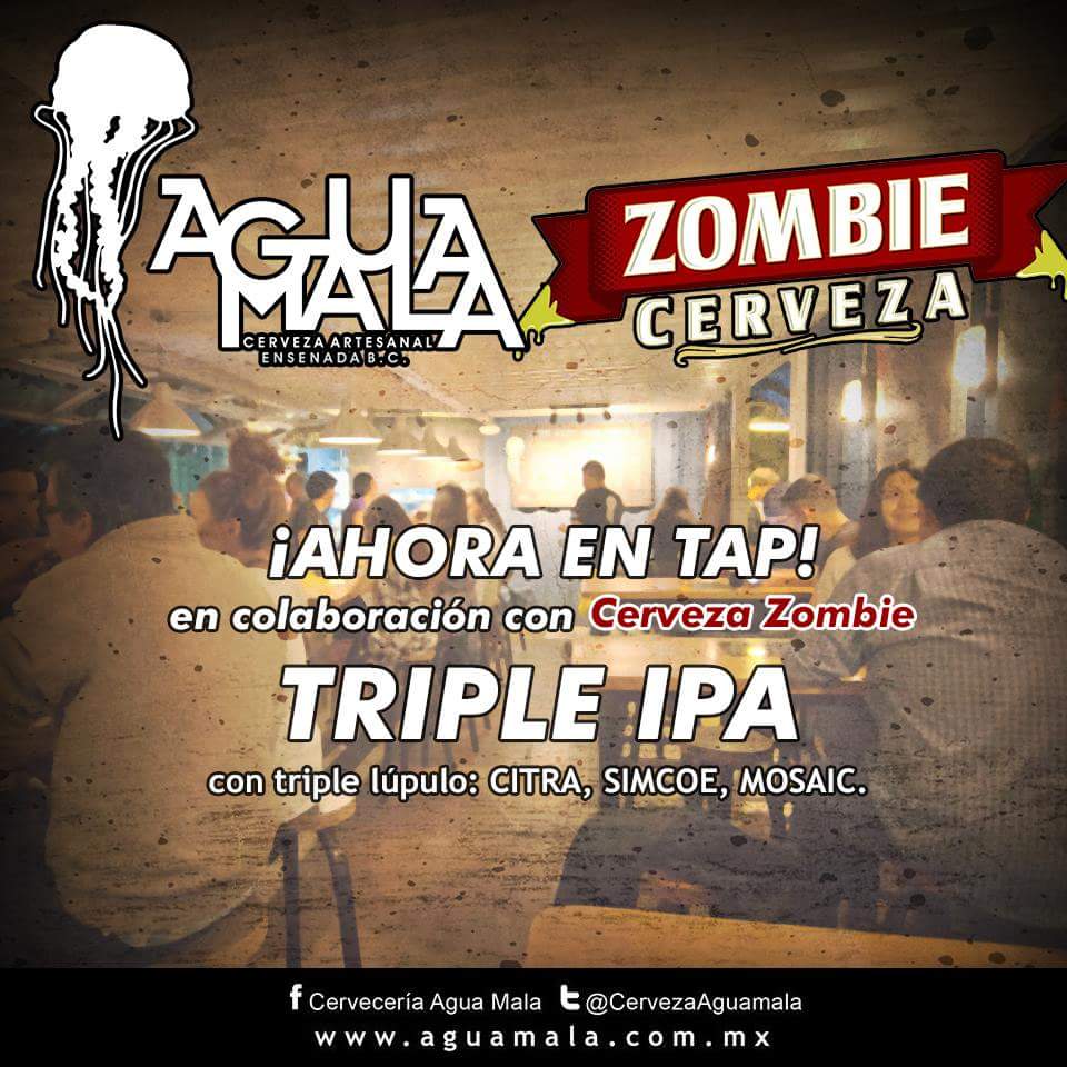 ZombieFermentologist tweet media