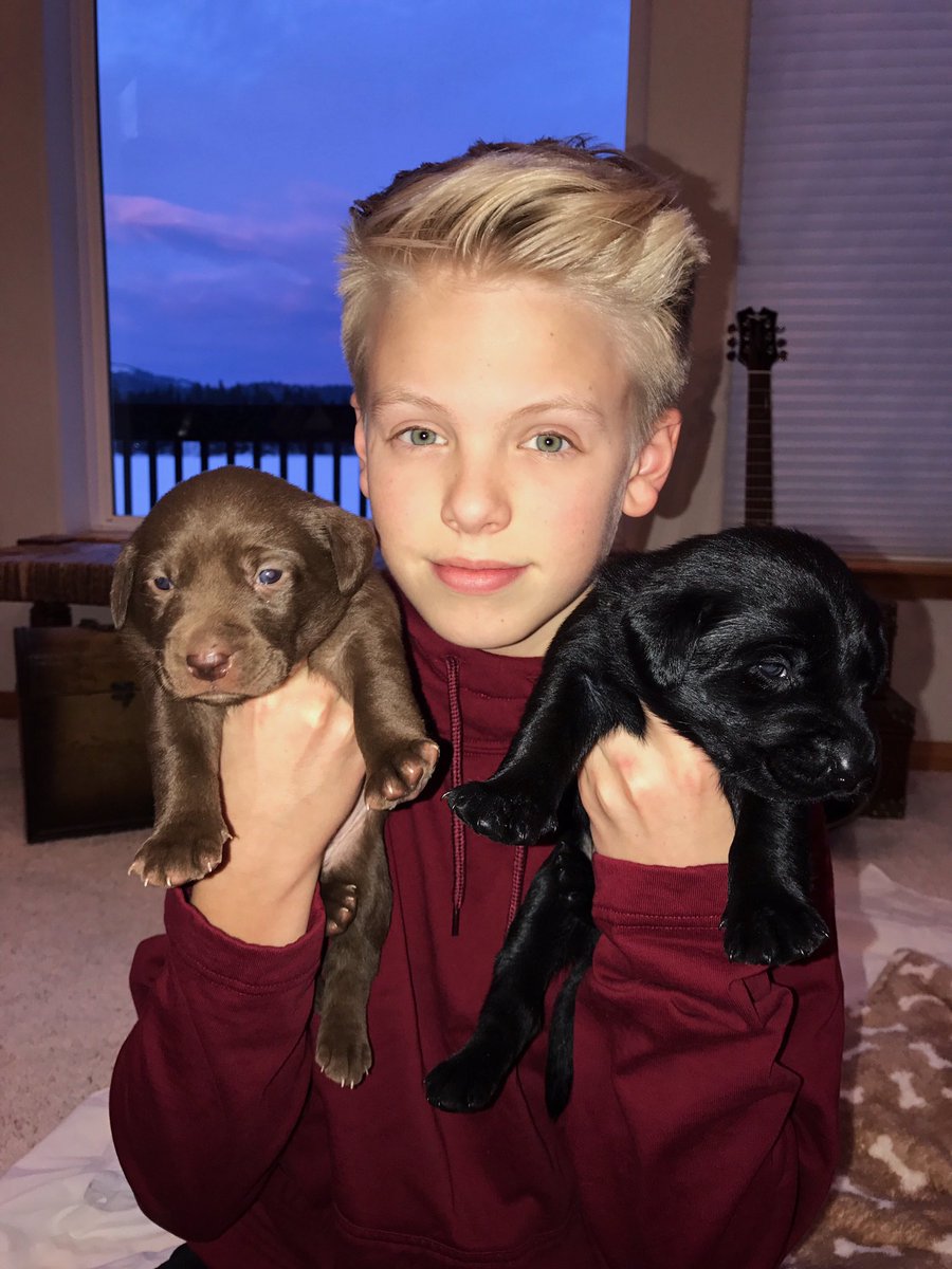 carsonlueders tweet picture