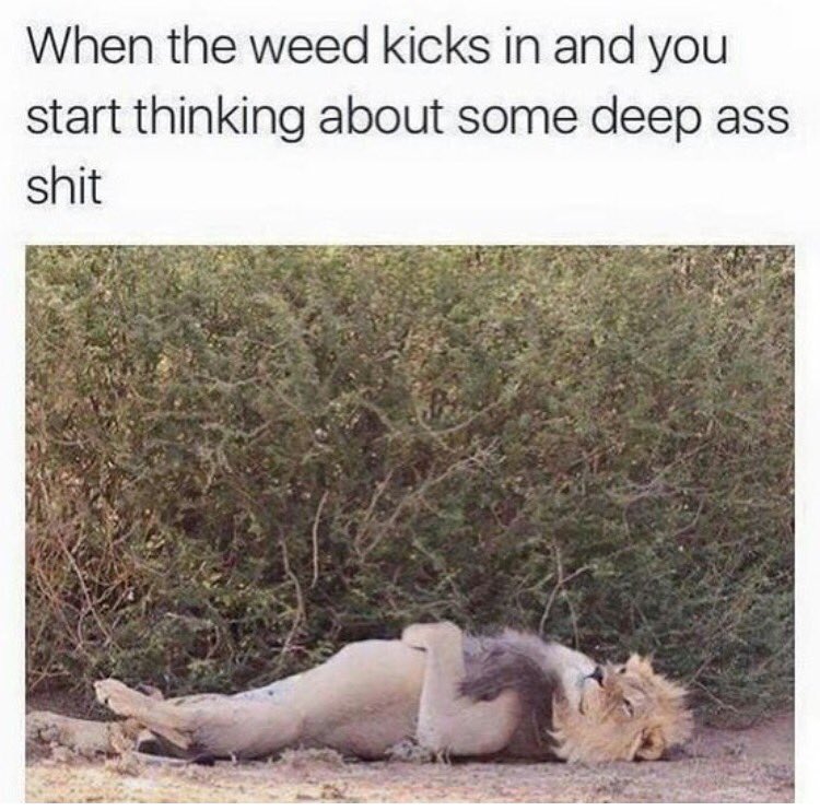 _TrippyDippy's tweet photo. https://t.co/svwedwnbTI