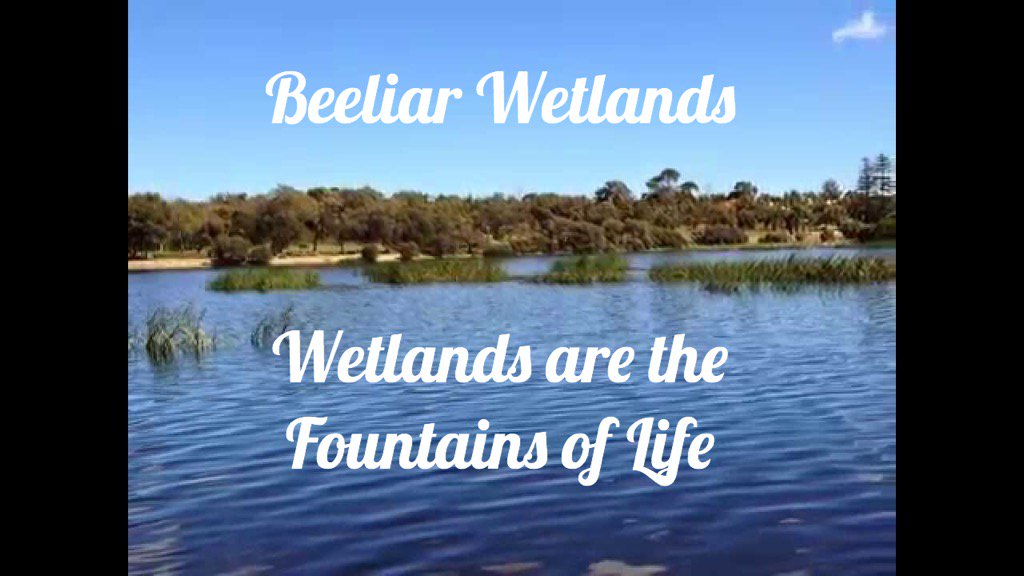 jarrahdale1's tweet photo. Fountains of Life @NoRoeEight @jewelsking_king @ConservationWA @c_baudains @waldman1020 @johoareau @tracyweare #life https://t.co/7gYlYsfQol