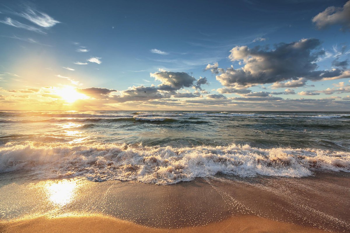 tommy bahama beach bliss